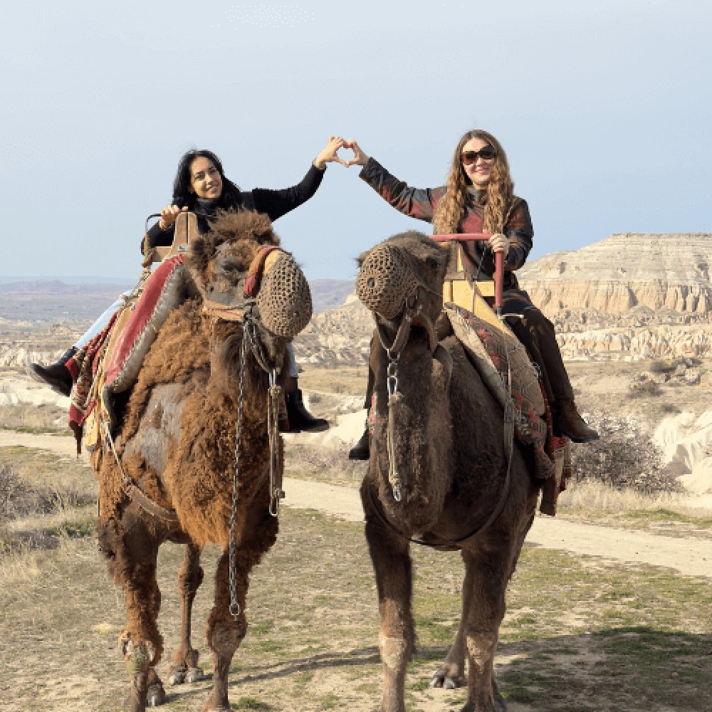 Camel Safari Cappadocia